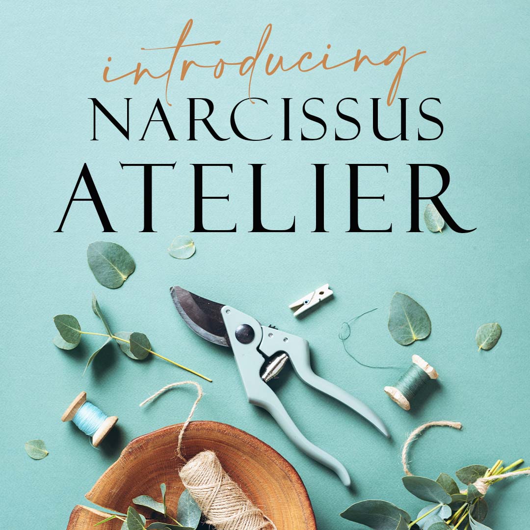 Introducing Narcissus Atelier